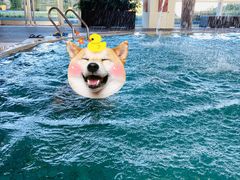 -上海浦东嘉里大酒店