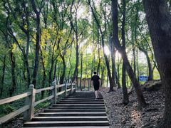 -惠山国家森林公园