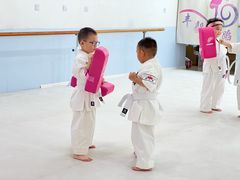 -极真空手道修远道场