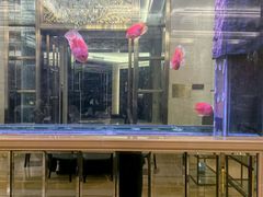 -星河湾半岛酒店-真粤中餐厅