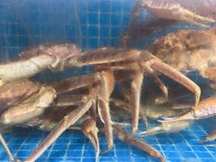 -震海贝烤贝·民俗特色店(延吉总店)