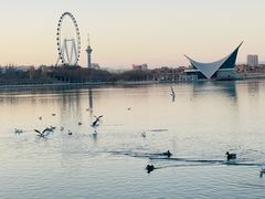 -东湖公园