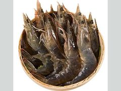围基虾-台山侨雅海鲜粥底火锅(台山侨雅花苑店)