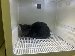 -沐沐家宠物(成寿寺店)