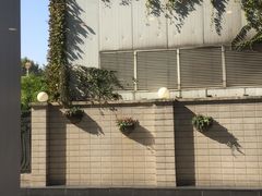 -星巴克(汾阳路店)