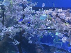 -海合安武汉极地海洋公园