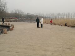 -绿堤公园