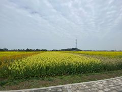 -中国天府农业博览园