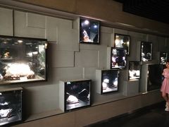 -终南山国家森林公园