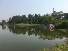-美兰湖景区