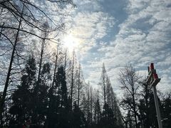 -井冈山风景名胜区