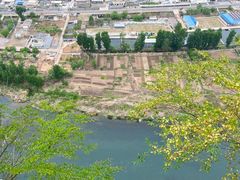 -大海别墅民宿农家院(十渡店)
