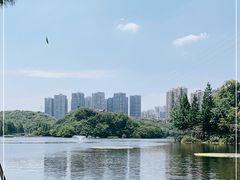 -重庆彩云湖湿地公园