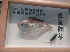 -连鹭海鲜·海肠捞饭·海胆饭(星海店)