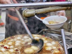 -罗子龙罗家桂花汤圆(曹都巷店)