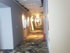 -星河寰宇IMAX影城(星河WORLD·COCO Park店)