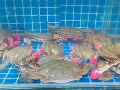 -宾朋海鲜饭庄(兴海路店)