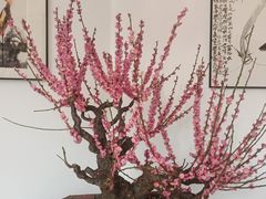 -无锡梅园公园