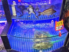 -亿牌牌东北烧烤(博物馆旗舰店)