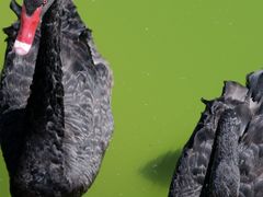 -水上乐园·欢乐世界