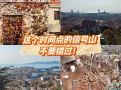 -信号山公园