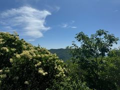 -妙峰山风景名胜区