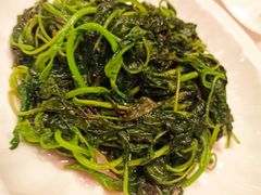清炒苋菜-得月楼·省级非遗·传统苏帮菜(观前店)