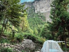 -重庆睡佛山森林公园