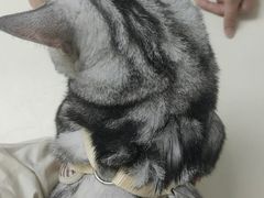 -宠颐生中康贝怡动物医院