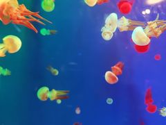 -成都浩海立方海洋公园