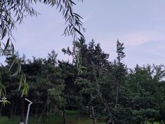 -望溪公园