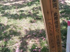 -西安青龙寺遗址景区