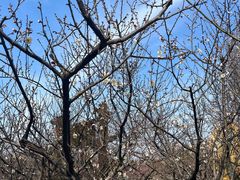 -狼山风景名胜区