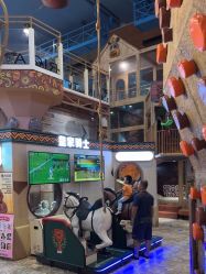 -卡通尼·Safari非洲探索乐园·生日会(金桥国际商业广场店)