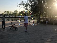 -绿堤公园