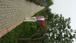 android_upload_pic-完美新娘婚纱摄影