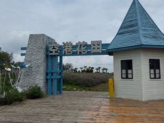 -空港花田景区
