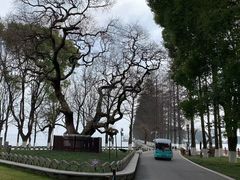 -东湖生态旅游风景区