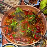 密子君没有骗我！云南酸菜牛肉火锅吼吼吃[流泪]