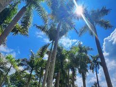-中国科学院西双版纳热带植物园