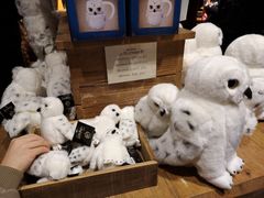 -九又四分之三站台哈利波特商店