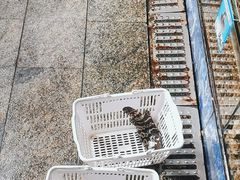 -范饭椰林川湘味海鲜·椰子鸡(三亚湾椰梦长廊店)