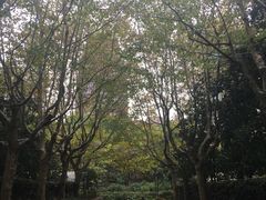 -星巴克(西藏路店)