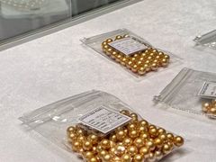 -香港会议展览中心演讲厅