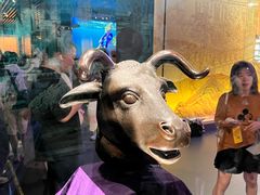 -广西壮族自治区博物馆