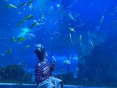 -威海华夏城景区