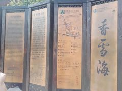 -香雪海