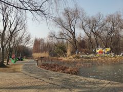 -洛阳市隋唐城遗址植物园