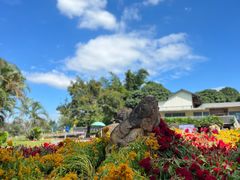 -松山湖梦幻百花洲