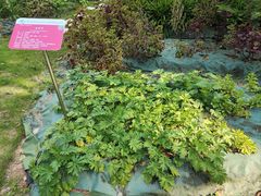 -广东中医药博物馆